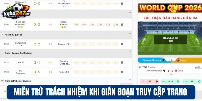 Miễn trừ trách nhiệm khi gián đoạn truy cập trang