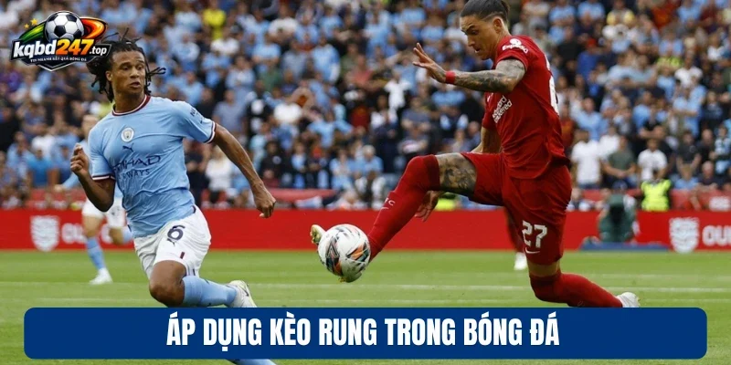 Kèo Rung - Bắt Nhịp Được Trận Đấu, Chốt Kèo Nhanh Từng Giây 3 Áp dụng kèo rung trong bóng đá