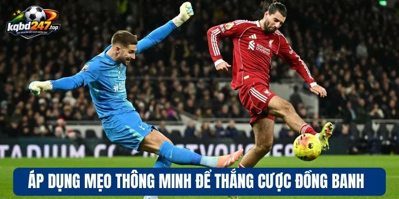 Áp dụng mẹo thông minh để thắng cược đồng banh 