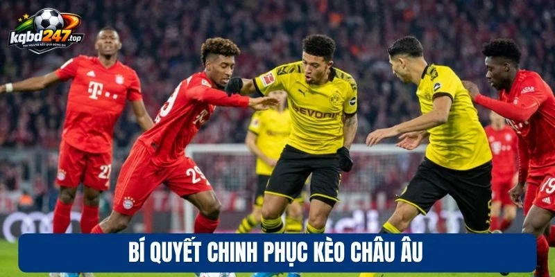 Kèo Châu Âu - Chốt Kèo Ngon Với Xác Suất Chiến Thắng Cao 4 Bí quyết chinh phục kèo châu Âu