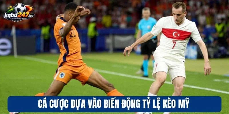 Tỷ Lệ Kèo Mỹ - Kinh Nghiệm Chốt Kèo Ngon Chuẩn Chuyên Gia 4 Cá cược dựa vào biến động tỷ lệ kèo Mỹ