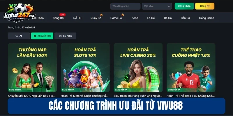 Vivu88 - Nhà Cái Bóng Đá Thống Kê Sâu, Phân Tích Chi Tiết 3 Các chương trình ưu đãi từ Vivu88