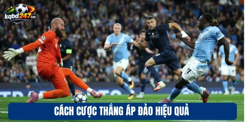 Cách cược thắng áp đảo hiệu quả