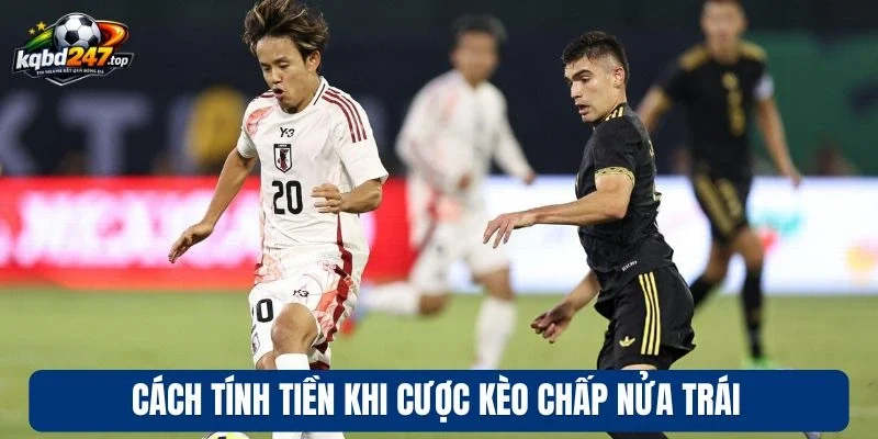 Cách tính tiền khi cược kèo chấp nửa trái