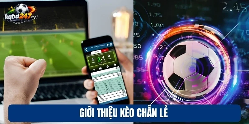 Kèo Chẵn Lẻ - Cược Bóng Đá Với Xác Suất Thắng 50% Mỗi Cửa 2 Giới thiệu kèo chẵn lẻ