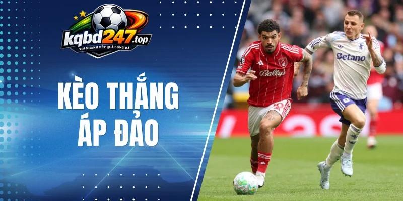 Cách cược thắng áp đảo hiệu quả