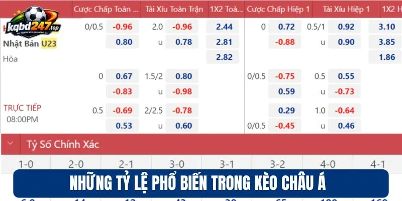 Kèo Châu Á - Tỷ Lệ Cá Cược Hấp Dẫn, Cơ Hội Thắng Lớn 3 Những tỷ lệ phổ biến trong kèo châu Á