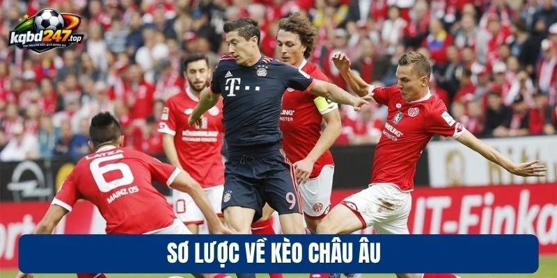 Kèo Châu Âu - Chốt Kèo Ngon Với Xác Suất Chiến Thắng Cao 2 Sơ lược về kèo châu Âu