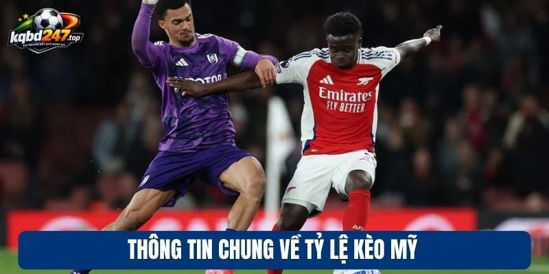 Tỷ Lệ Kèo Mỹ - Kinh Nghiệm Chốt Kèo Ngon Chuẩn Chuyên Gia 2 Thông tin chung về tỷ lệ kèo Mỹ
