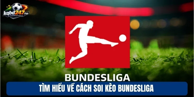 Tìm hiểu về cách soi kèo Bundesliga