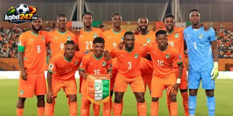 Đội hình và sơ đồ dự kiến của Bờ Biển Ngà vs Ecuador