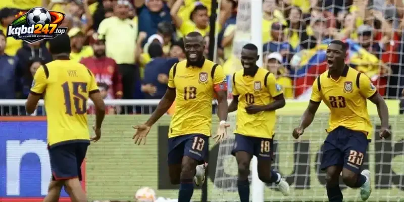 Kèo Nhà Cái Ecuador Vs Curacao - Bảng E World Cup 07h00 21/06/2026 4 Đội hình và sơ đồ dự kiến của Ecuador vs Curacao
